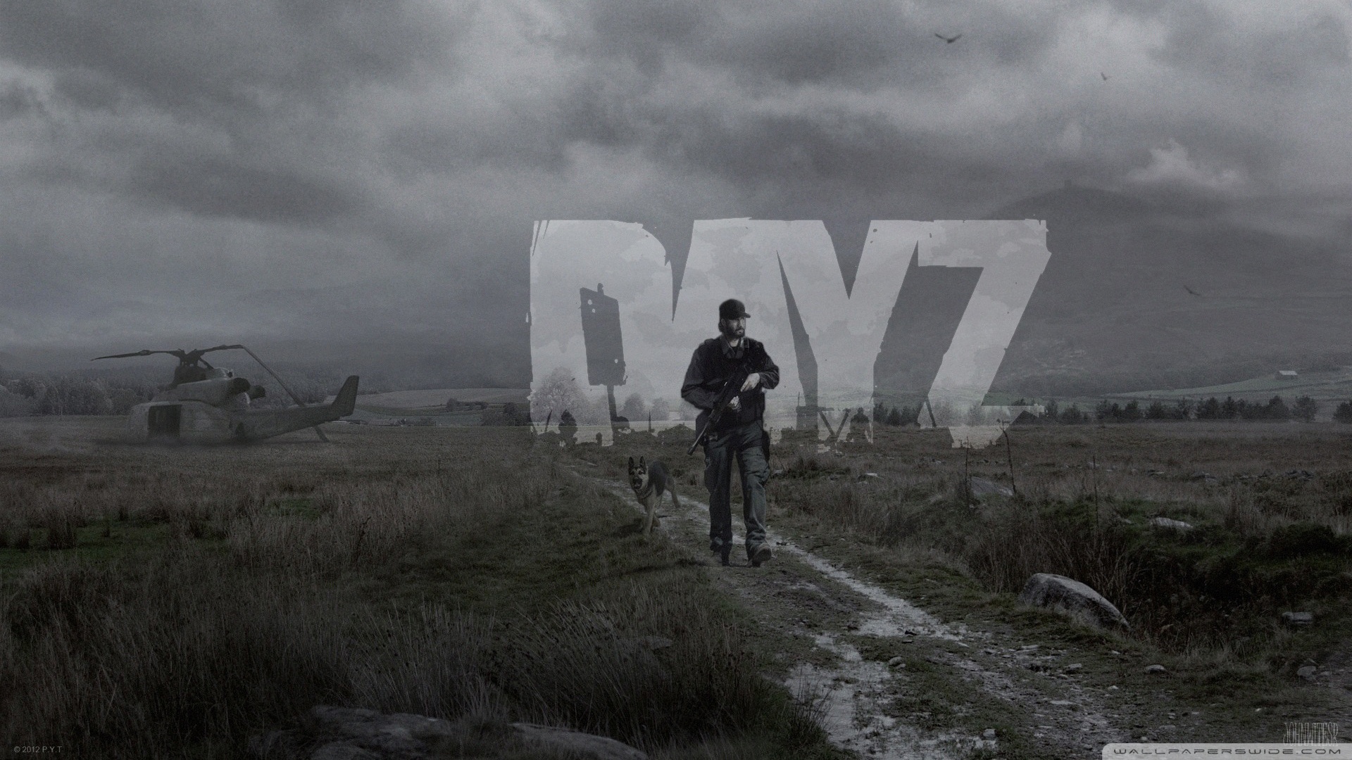 dayz